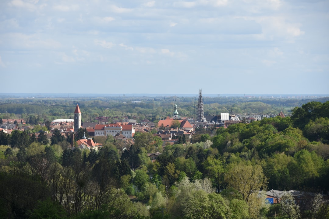 assets/img/destinations/Blenheim.jpg Professional Blenheim Airport Taxi