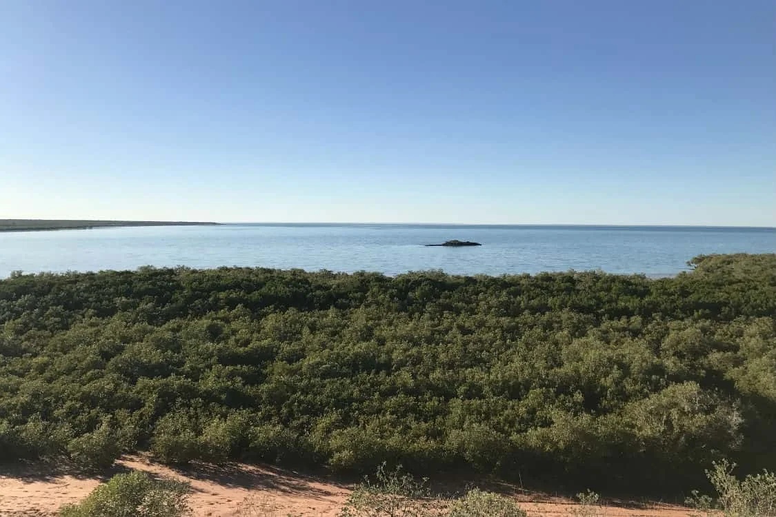 Professional Broome Airport Taxi