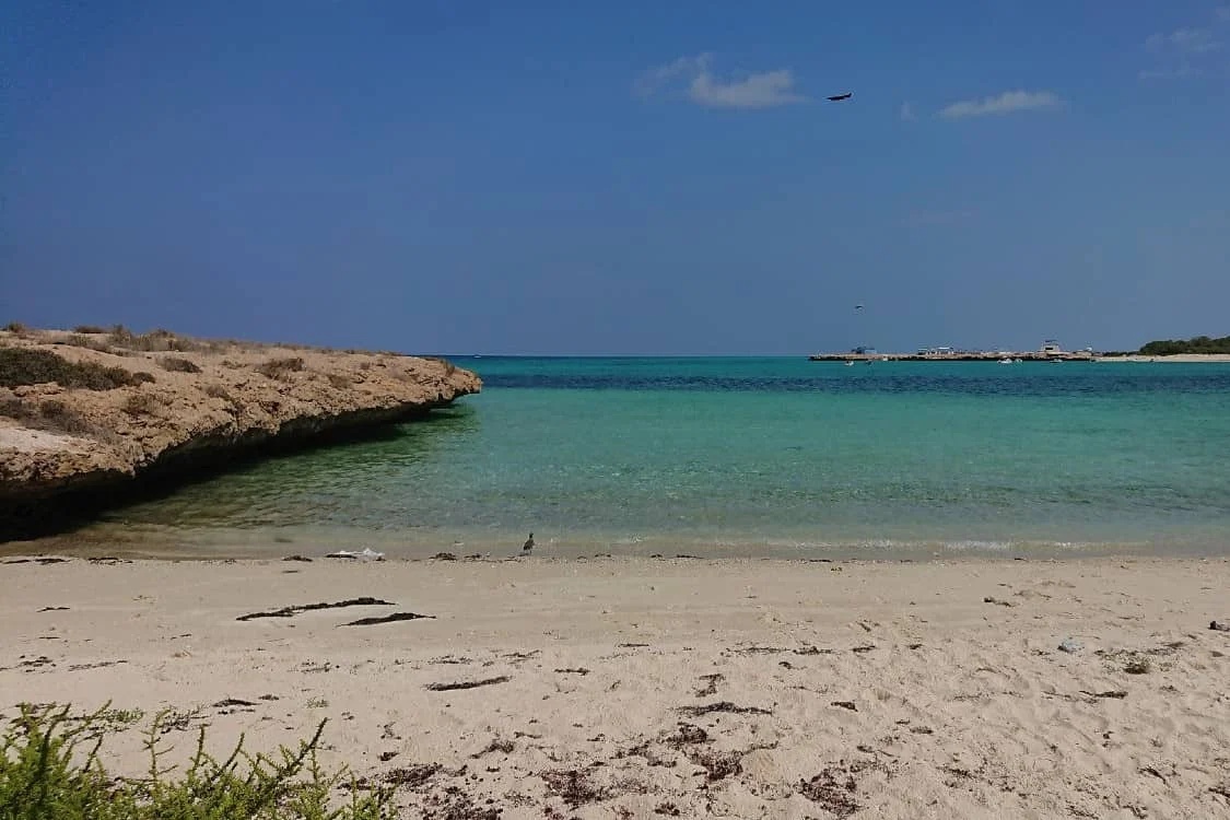 assets/img/destinations/Djibouti.jpg Professional Djibouti Airport Taxi