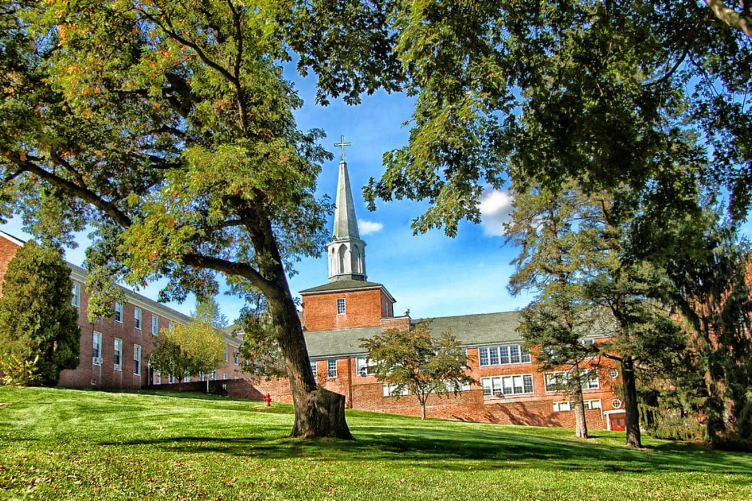 assets/img/destinations/Hamilton.jpg Professional Hamilton Airport Taxi