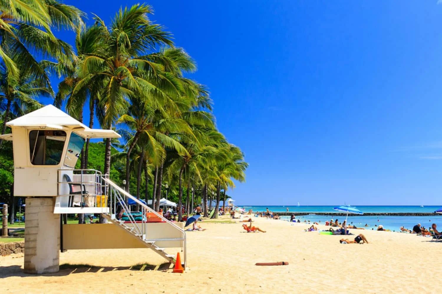 assets/img/destinations/Hawaii.jpg Professional Hawaii Airport Taxi