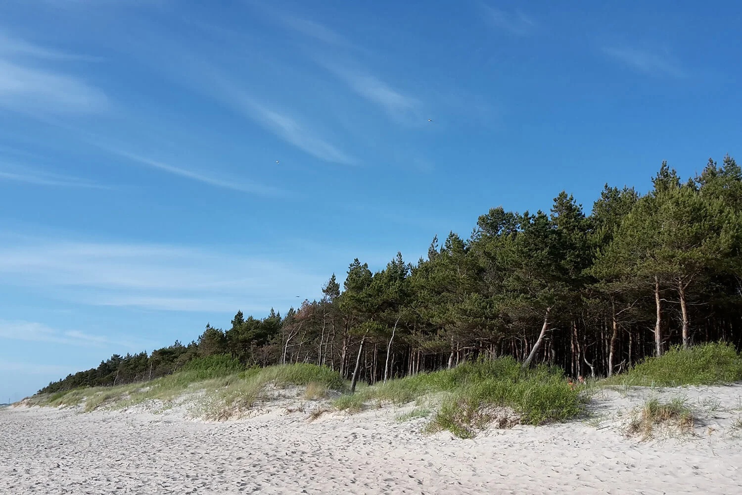 assets/img/destinations/Palanga.jpg Professional Palanga Airport Taxi